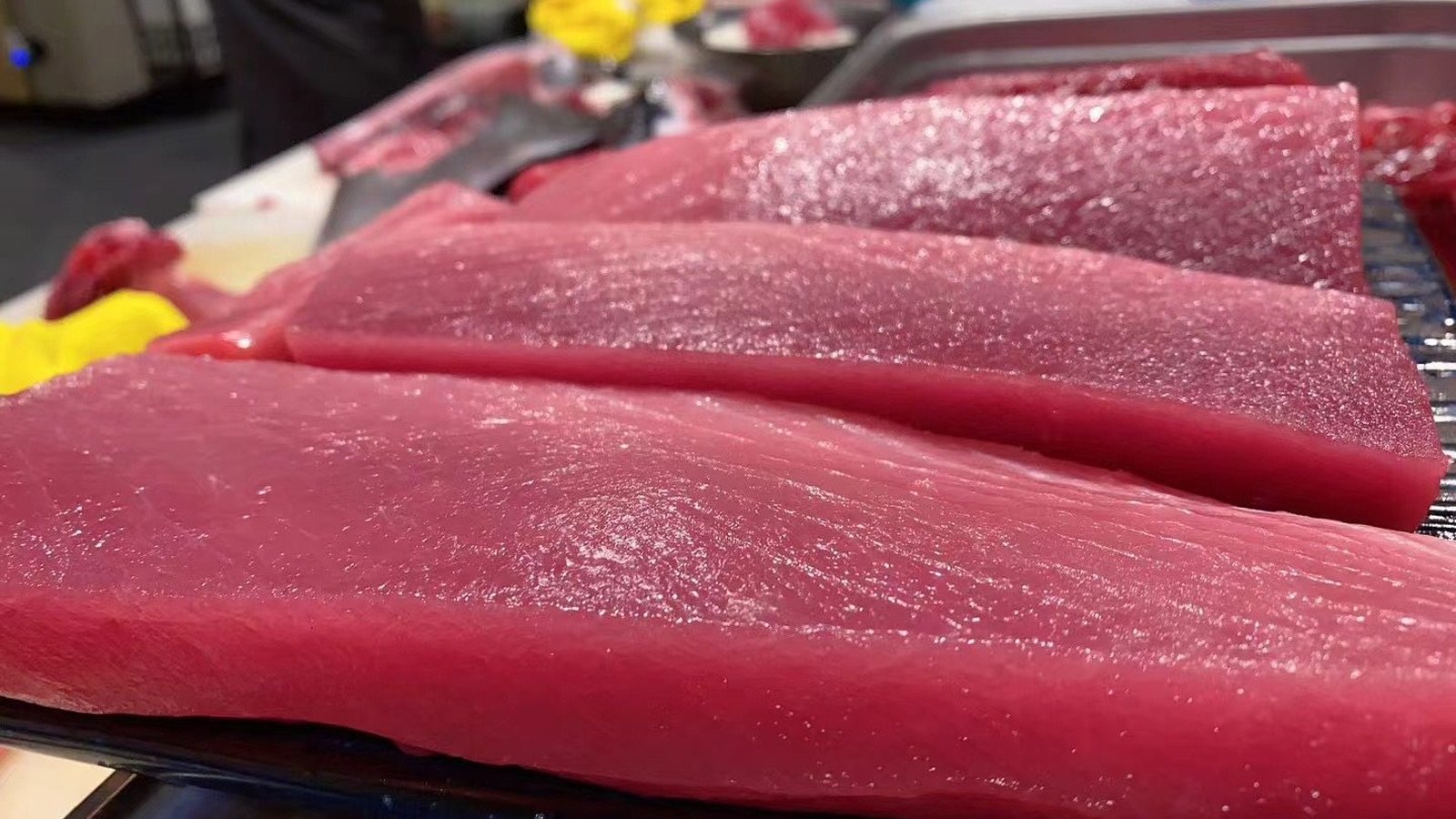 金枪鱼腰肉