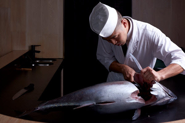 野生澳洲蓝鳍